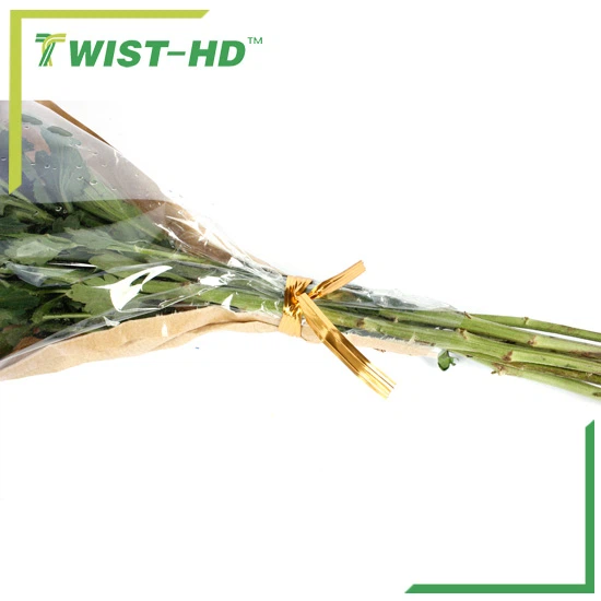 Διπλή σύρμα μεταλλική συστροφή