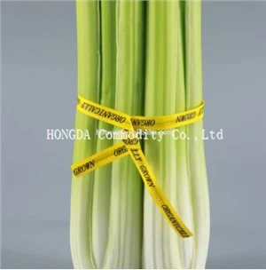 Τυπωμένη γραβάτα συστροφής λαχανικών PET